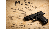 Bill of Rights document symbolizing federal firearms rights restoration under 18 U.S.C. § 925(c)